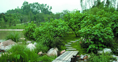 河南園林綠化