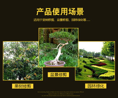 正諾園林鋸專業(yè)級果樹園林專用鋸修枝手鋸盆景修鋸SK5鋼ZN-211