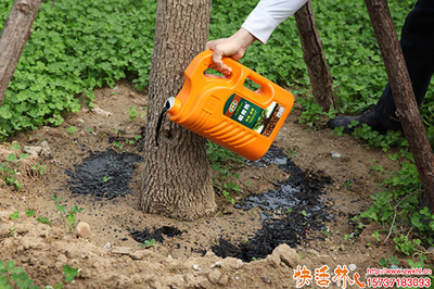生根劑怎么用