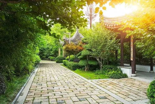 中國職工技術協會園林綠化專業委員會成立