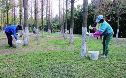 園林綠化設計 蕪湖園林綠化 蕪湖連然園林綠化