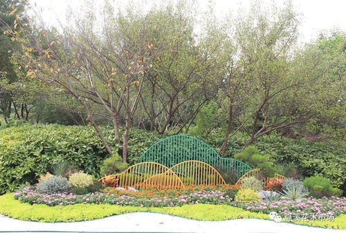 2020年 泰園杯 江蘇省園林綠化行業花卉工職業技能競賽參賽作品來啦