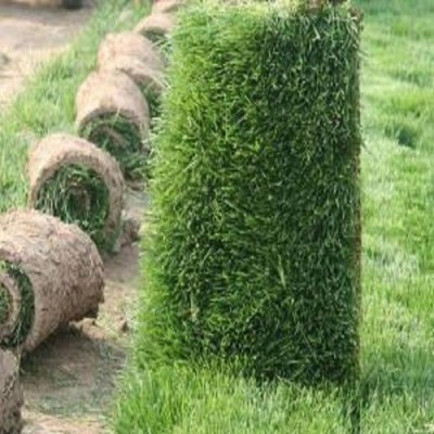 新鄉萬方園林綠化