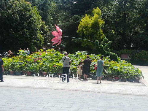 【四川雕塑廠水景植物雕塑定制,成都雕塑廠批發價出售】- 
