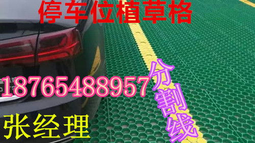 嘉峪關綠都建材排水板廠家 排水板價格 咨詢18765488957配套圖片