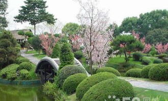 深圳私家庭院綠化種植養護,別墅綠化設計,園林養護