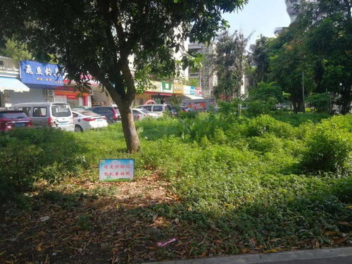 昔日雜亂綠地變身街頭公園 石岐街坊又多了一個休閑好去處
