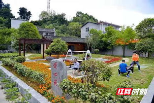 張家界市園林綠化服務(wù)中心 以 黨建紅 引領(lǐng) 園林綠