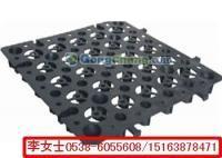 供應(yīng)葫蘆島園林綠化專用--塊狀蓄排水板_建筑建材_世界工廠網(wǎng)中國(guó)產(chǎn)品信息庫(kù)