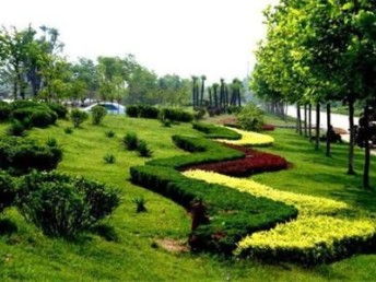 圖 天津各區 綠化帶養護 園林綠化 綠植修剪 除野草 工程除草 天津鮮花綠植