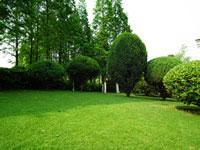 公園綠化養護 大象園林圖片,公園綠化養護 大象園林高清圖片 常州大象園林綠化養護公司,