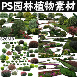 【園林植物造景】最新園林植物造景/批發報價