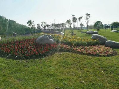 勤勞踏實的園林人--田田綠化廣場2017年防汛抗旱紀實