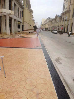 新聞 遂寧生態園壓印路面