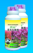 供應供應花木生根液 最優質生根產品 哪里有賣花木生根品 價格優惠-園林綠化養護網公司