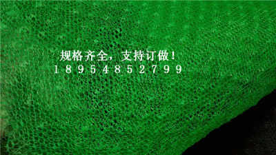 新聞 哈密em4三維植被網(wǎng)供應商 股份  歡迎您