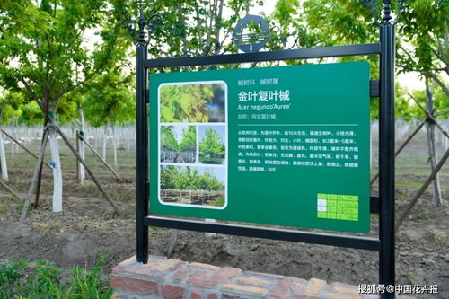 28項行業標準,198項地方標準,助推北京園林綠化高質量發展