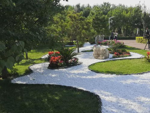 包頭這些公園又添新景觀,你去打卡了嗎