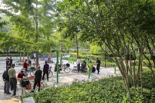 建設 花園城市 ,東城今年這么干